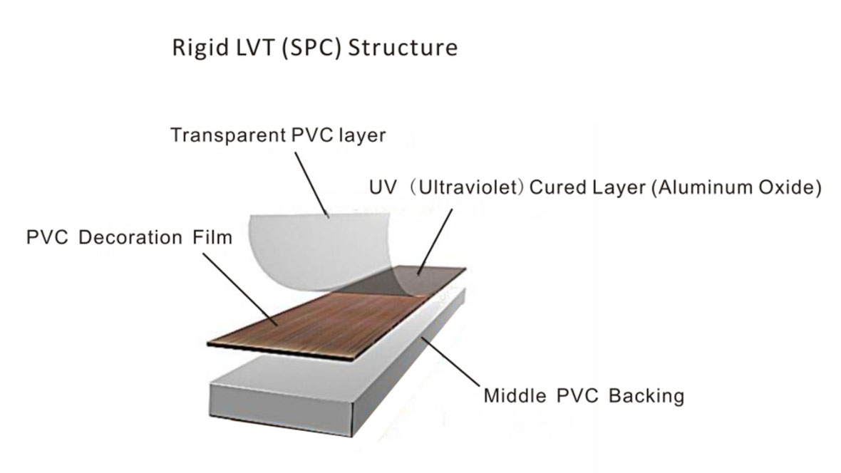 layout